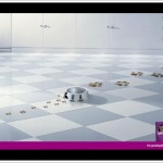 fun_ad_whiskas