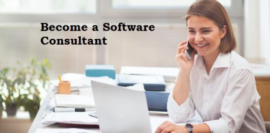 software consultant